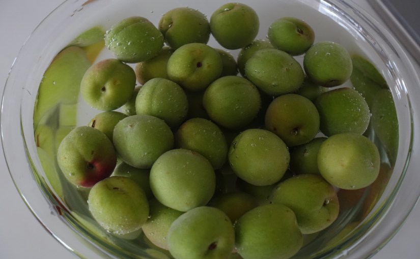 梅シロップ作り中