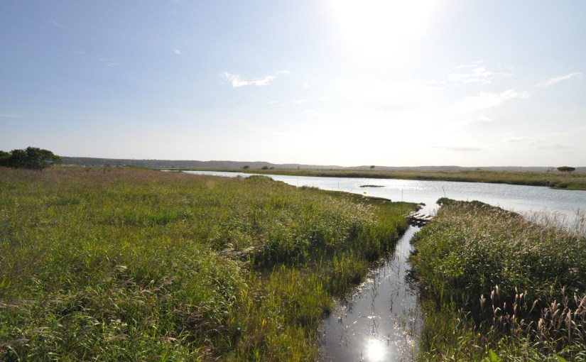 北海道の浜中町を旅行するなら