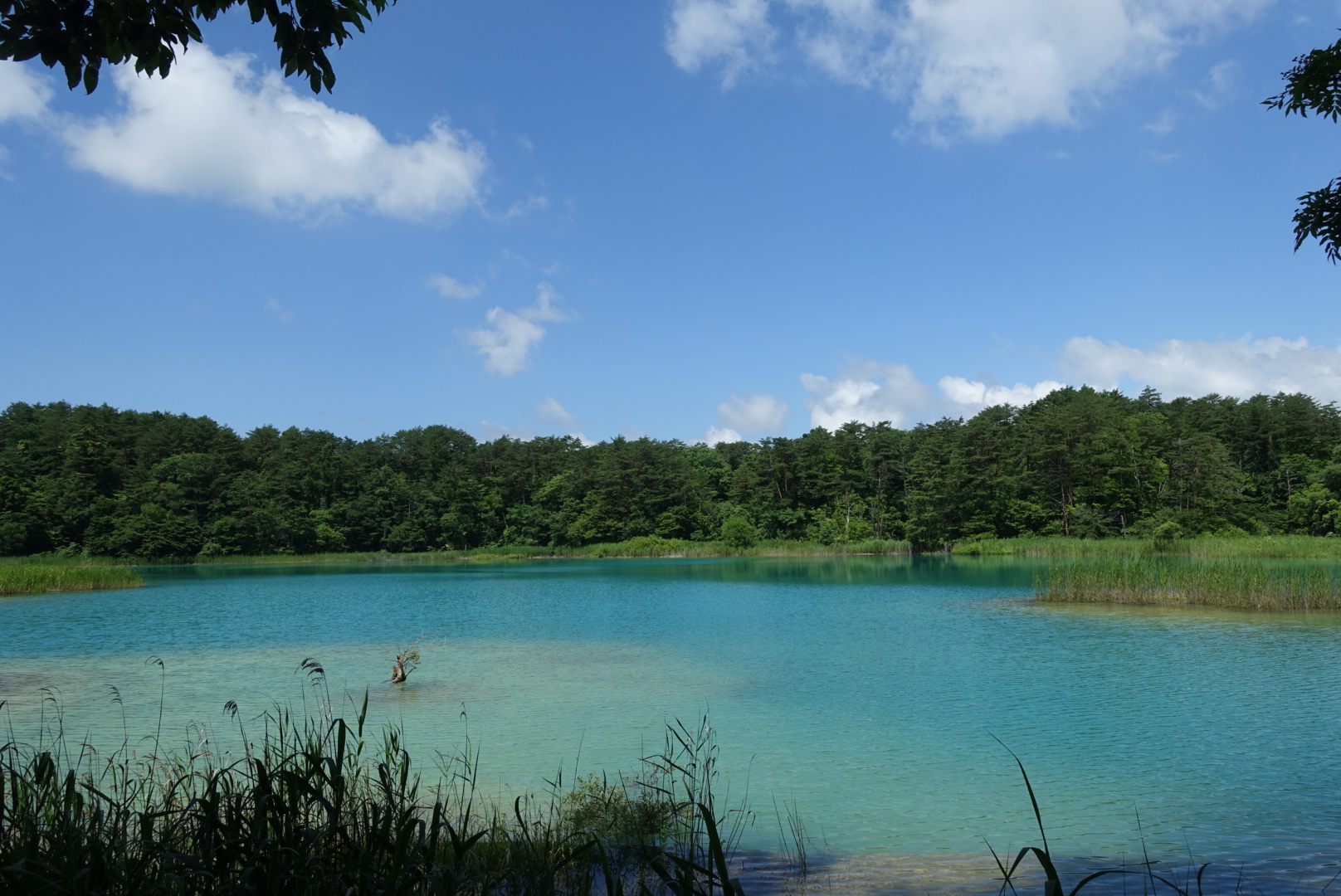 3E9516F8-F140-4507-A65A-EE50B1B011A6