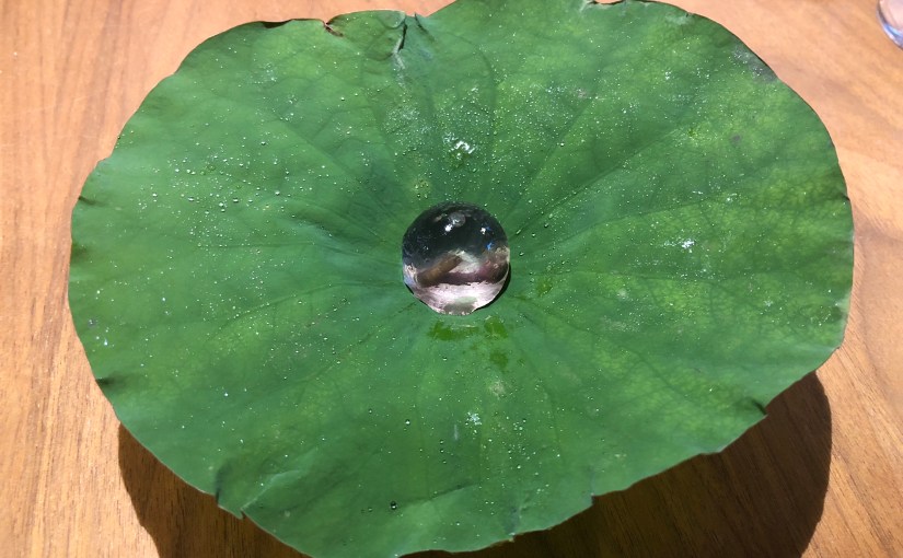 7月に食べたもの